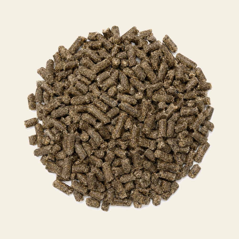 Pellet de girasol