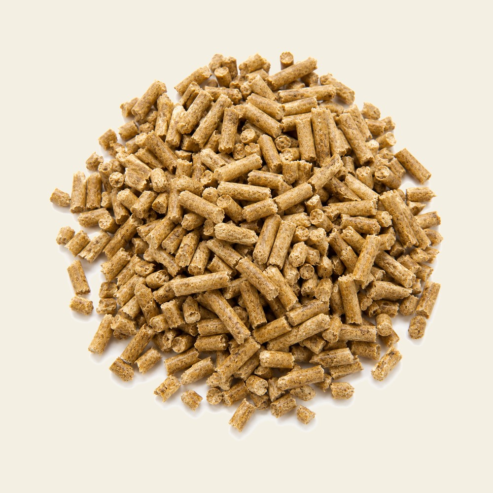 Pellet de trigo